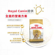 Royal Canin法國皇家金裝貴婦成犬糧