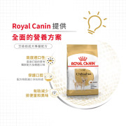 Royal Canin法國皇家金裝芝娃娃成犬糧