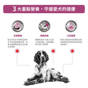 Royal Canin 法國皇家®處方Renal腎臟狗糧