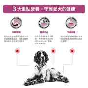 Royal Canin 法國皇家®處方Renal腎臟狗濕糧 (肉汁方塊配方) 100g RF14