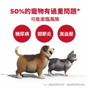 Hill's® 希爾思 Perfect Weight 完美體態成犬糧 (小型犬) 607828