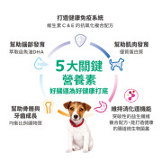 Hill's Science Diet 健康發育配方幼犬糧（細粒）607793