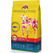 Brabanconne 無穀物大型成犬乾糧 - 海洋魚配方 10kg