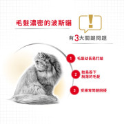 Royal Canin 法國皇家－波斯成貓專屬配方