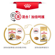 Royal Canin 法國皇家－波斯成貓專屬配方