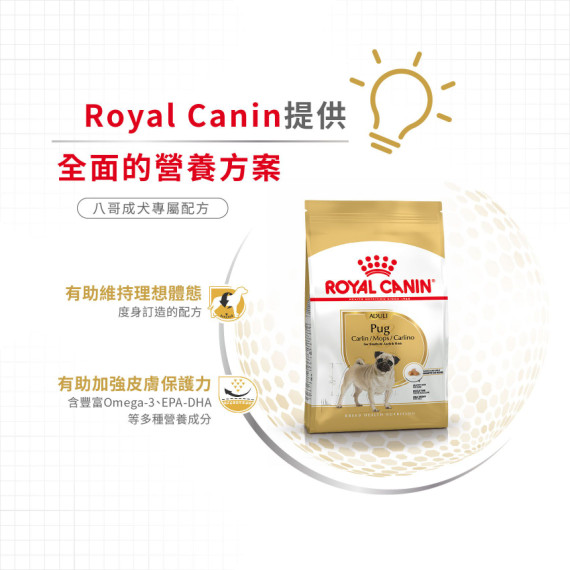 Royal Canin法國皇家金裝八哥成犬糧 3kg