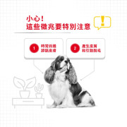 Royal Canin 法國皇家 - 小型犬皮膚舒緩配方