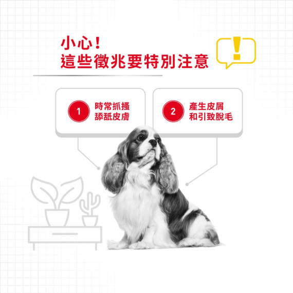 Royal Canin 法國皇家 - 小型犬皮膚舒緩配方