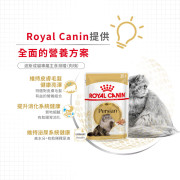 Royal Canin 法國皇家波斯成貓配方肉塊貓濕包  85g (12包)