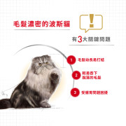 Royal Canin 法國皇家波斯成貓配方肉塊貓濕包  85g (12包)