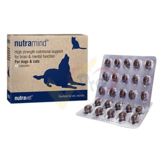 Nutravet - NUTRAMIND (貓狗合用) 腦部營養膠囊- 每盒45粒膠囊 (舊名: NUTRAMEDIC)