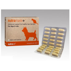 Nutravet - Nutramarin+ (SAMe 100mg) (貓狗合用) 維護肝臟健康 營養膠囊- 每盒60粒膠囊