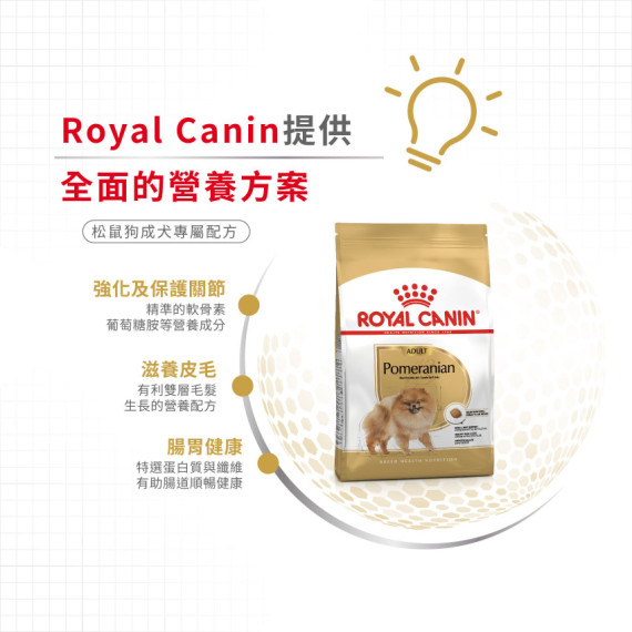 Royal Canin法國皇家金裝松鼠成犬糧 3kg