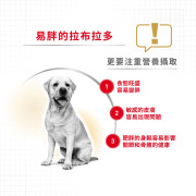 Royal Canin法國皇家金裝拉布拉多成犬糧 12kg