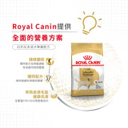 Royal Canin法國皇家金裝拉布拉多成犬糧 12kg