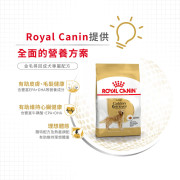 Royal Canin法國皇家金裝金毛尋回犬成犬糧 12kg