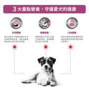 Royal Canin 法國皇家®處方Renal腎臟狗糧 (小型成犬) 