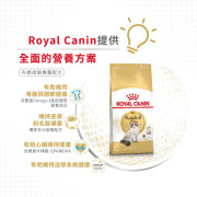 Royal Canin法國皇家布偶成貓配方 RD