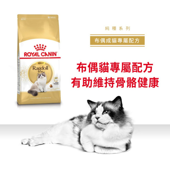 Royal Canin法國皇家布偶成貓配方 RD