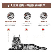 Royal Canin法國皇家®處方Hepatic 肝臟貓糧 2kg HF26