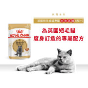 Royal Canin 法國皇家英國短毛貓配方肉汁貓濕包 BSH11 85g (12包)