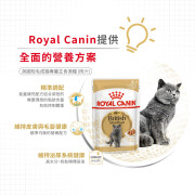 Royal Canin 法國皇家英國短毛貓配方肉汁貓濕包 BSH11 85g (12包)